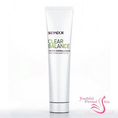 Pore Normalising Factor