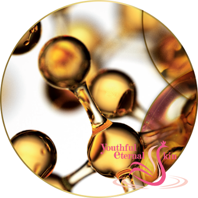 Timeless Prodigy The Cream