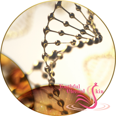 Timeless Prodigy The Cream