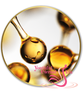 Timeless Prodigy The Serum